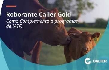 Portada Roborante Calier Gold