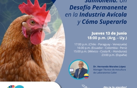 Jornada aviar