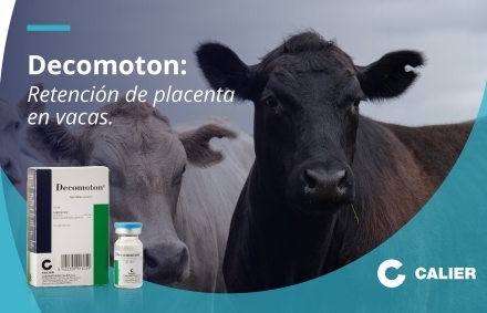 Descomoton - Retención de placenta en vacas