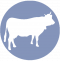 icono-bovinos