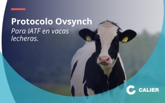 Imagen portada Protocolo Ovsynch