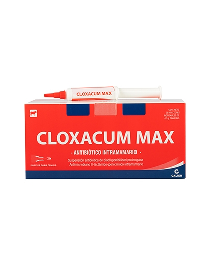 Imagen de Cloxacum Max 