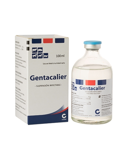 Imagen de Gentacalier