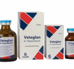 Vademécum Medicamentos Veterinarios Equino | Calier Argentina