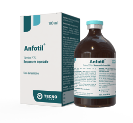 Anfotil