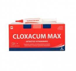 Imagen de Cloxacum Max 