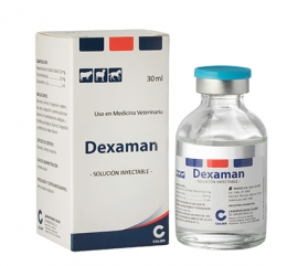 Imagen de Dexamam
