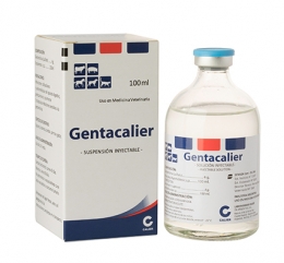 Imagen de Gentacalier