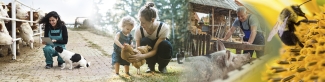 Composición de imágenes de animales y personas