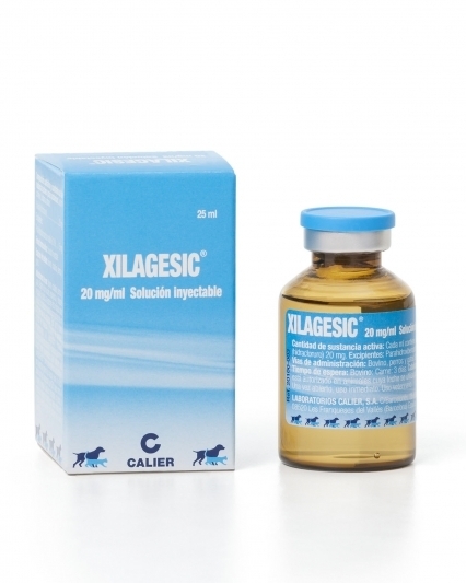 Xilagesic 20 