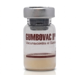 Gumbovac II
