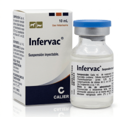 Infervac