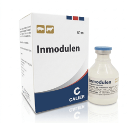 Inmodulen