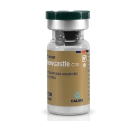 Primun Newcastle C30