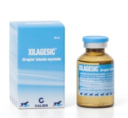 Xilagesic 20 