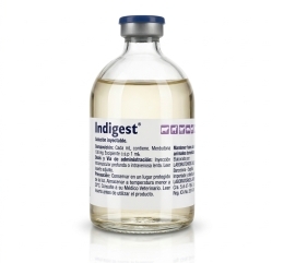 Indigest