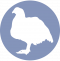 icono-pollos