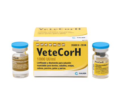 VeteCorH