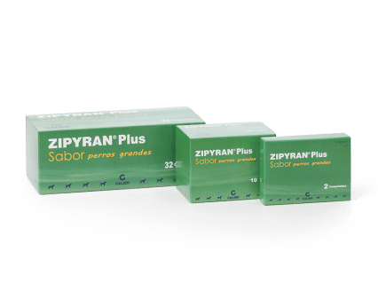 Zipyran Plus