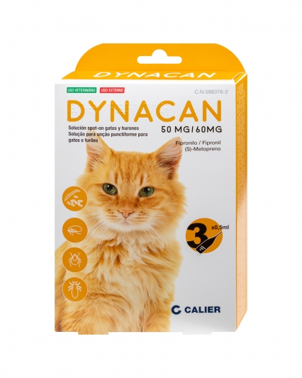 Imagen de Dynacan gatos
