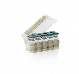 Primun Newcastle C30