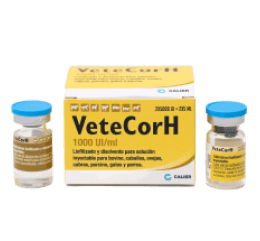 VeteCorH