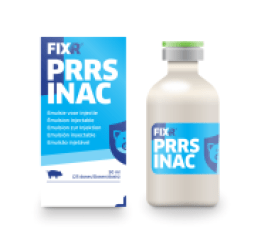 PRRS