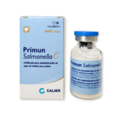 Primun Salmonella E