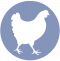 icono-gallinas