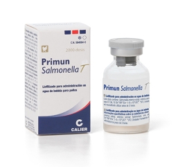 Primium Salmonella T