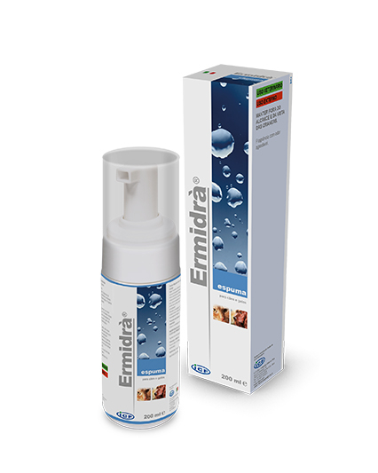 Imagen de Ermidrà Espuma