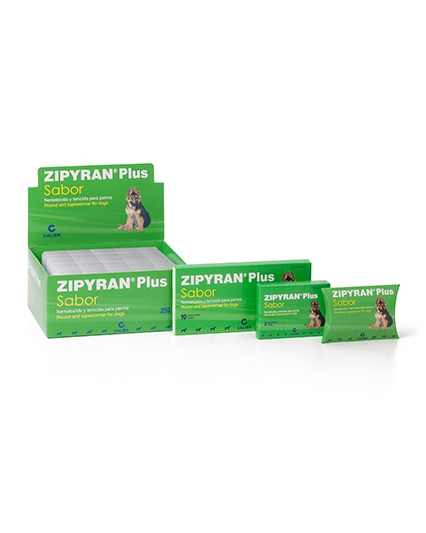 Imagen de Zipyan Plus