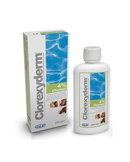 cloxyderm shampoo