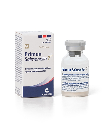 Primun salmonella T