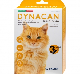 Imagen de Dynacan Gatos