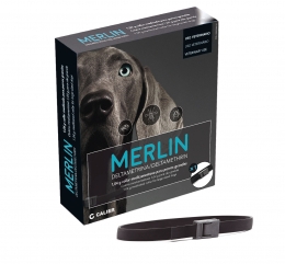 Imagen de Merlin 65 cm