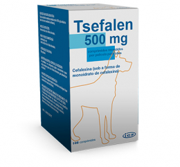 Imagen de Tsefalen 500 mg