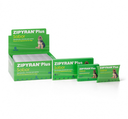 Imagen de Zipyan Plus