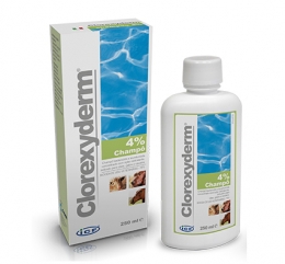 cloxyderm shampoo