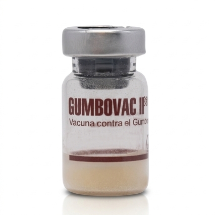 Gumbovac II