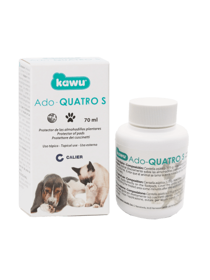 adoquatro