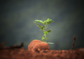 Imagen medioambiente