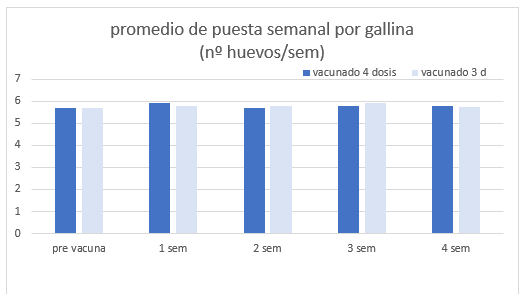 grafico1