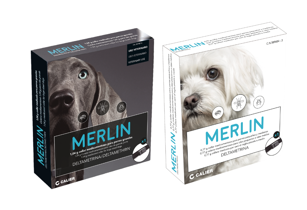 Collar Merlin