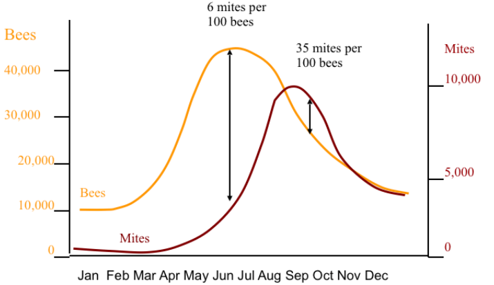 gráfico aumento de población