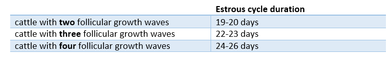 grafico