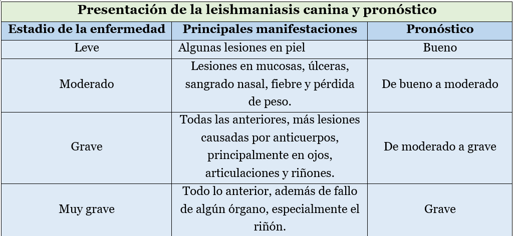 leishmaniasis canina pronóstico