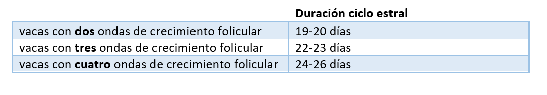 grafico