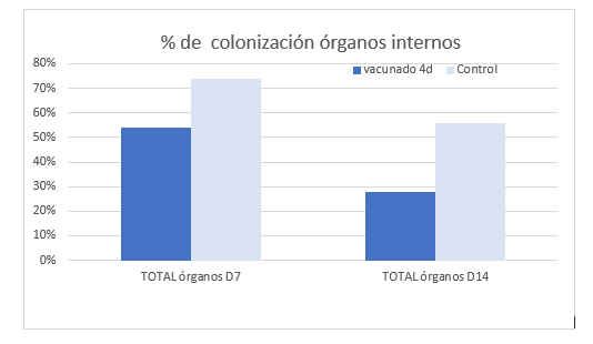 grafico3