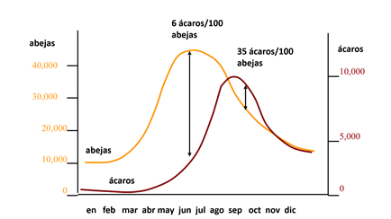 gráfico aumento de población